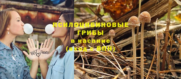дживик Алзамай